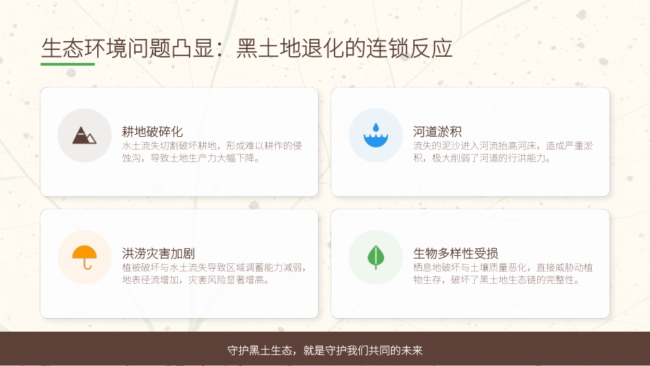 讲稿+PPT课件：黑土耕地保护守护“耕地中的大熊猫”_第8页