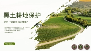 讲稿+PPT课件：黑土耕地保护守护“耕地中的大熊猫”