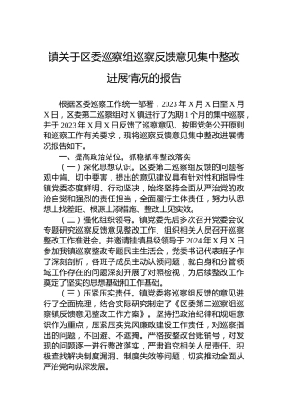 镇关于区委巡察组巡察反馈意见集中整改进展情况的报告