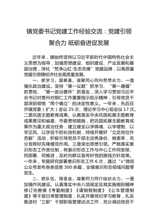 镇党委书记党建工作经验交流：党建引领聚合力砥砺奋进促发展