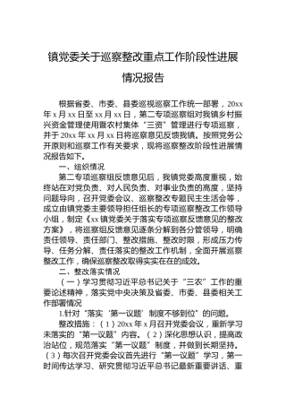 镇党委关于巡察整改重点工作阶段性进展情况报告
