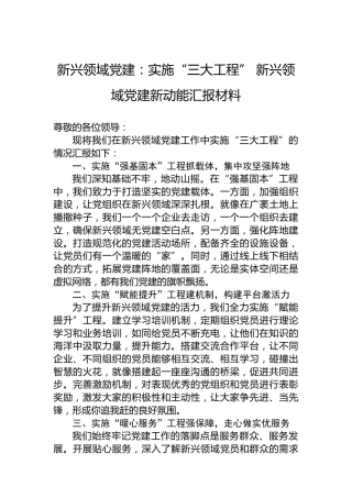 新兴领域党建：实施“三大工程”新兴领域党建新动能汇报材料