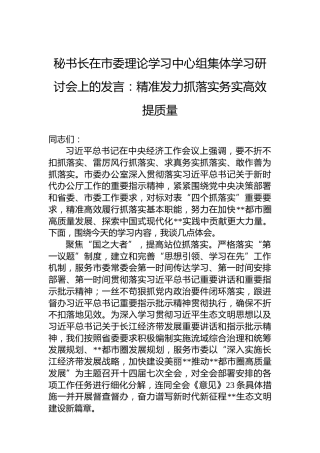 秘书长在市委理论学习中心组集体学习研讨会上的发言：精准发力抓落实务实高效提质量