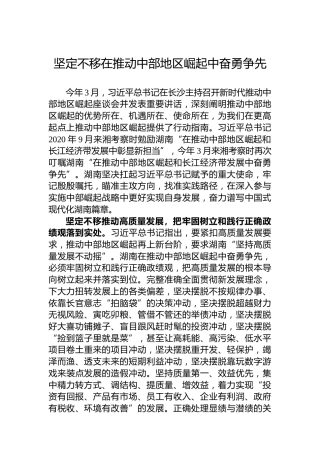 坚定不移在推动中部地区崛起中奋勇争先