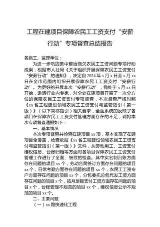 工程在建项目保障农民工工资支付“安薪行动”专项督查总结报告