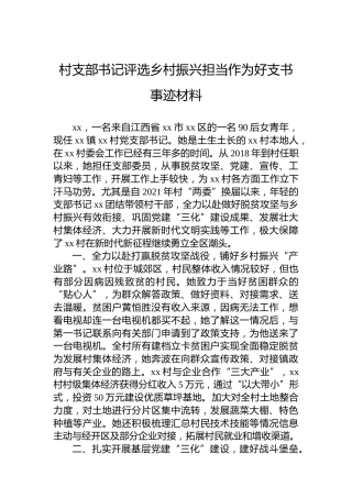 村支部书记评选乡村振兴担当作为好支书事迹材料