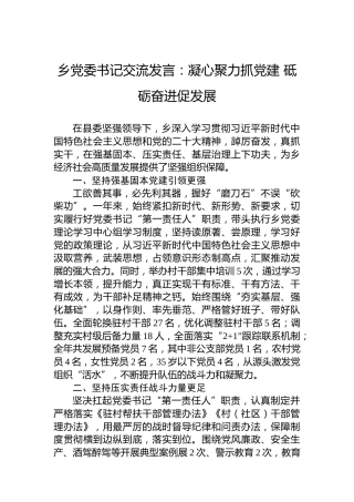 乡党委书记交流发言：凝心聚力抓党建砥砺奋进促发展