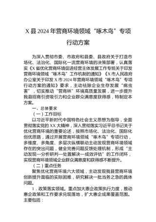 X县2024年营商环境领域“啄木鸟”专项行动方案
