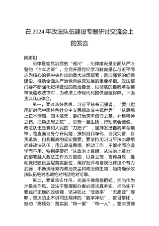 在2024年政法队伍建设专题研讨交流会上的发言