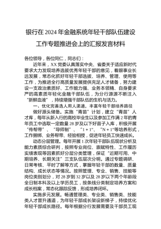 银行在2024年金融系统年轻干部队伍建设工作专题推进会上的汇报发言材料
