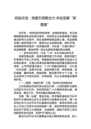 经验交流：党建引领聚合力共绘发展“新图景”