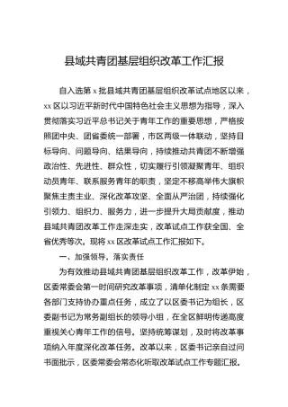 县域共青团基层组织改革工作汇报