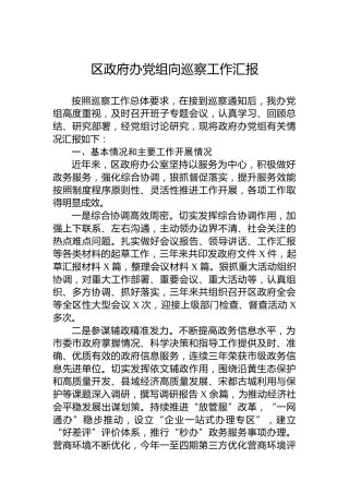 区政府办党组向巡察工作汇报