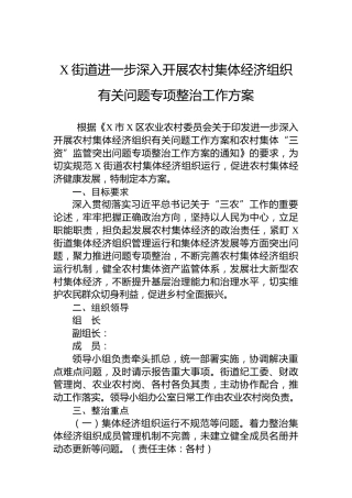 X街道进一步深入开展农村集体经济组织有关问题专项整治工作方案