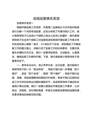 巡视巡察表态发言