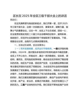 区长在2025年全区三级干部大会上的讲话_1