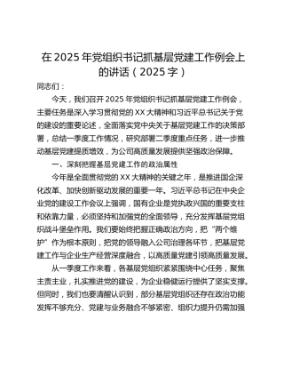 在2025年党组织书记抓基层党建工作例会上的讲话（2025字）