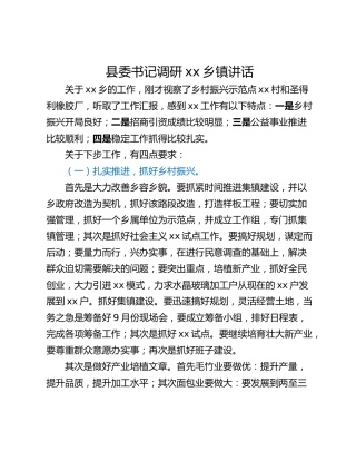 县委书记调研xx乡镇讲话