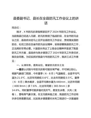 县委副书记、县长在全县防汛工作会议上的讲话