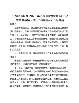 市委秘书长在2025年市级层面整治形式主义为基层减负专项工作机制会议上的讲话