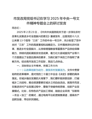市发改局党组书记在学习2025年中央一号文件精神专题会上的研讨发言