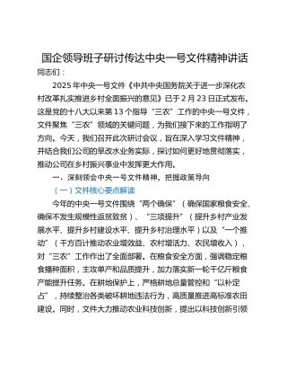 国企领导班子研讨传达中央一号文件精神讲话