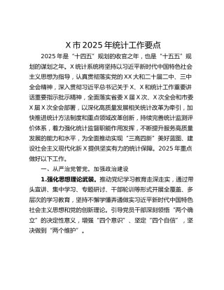 X市2025年统计工作要点
