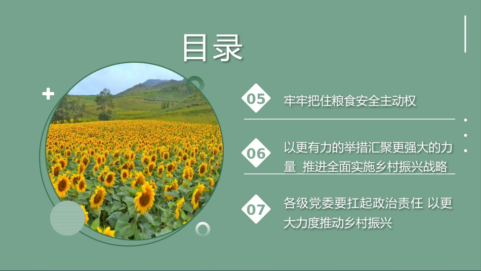 党课讲稿+PPT系列第10期：学习2020年中央农村工作会议精神：坚持把解决好“三农”问题作为全党工作重中之重_第4页