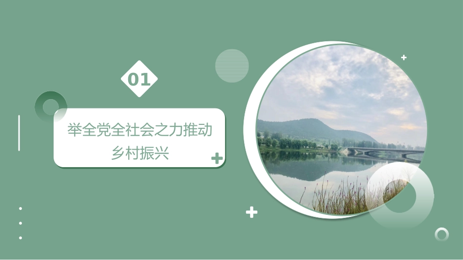 党课讲稿+PPT系列第10期：学习2020年中央农村工作会议精神：坚持把解决好“三农”问题作为全党工作重中之重_第5页