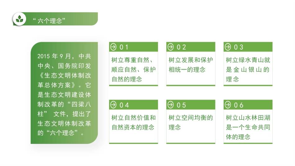 党课讲稿+PPT系列第47期：习近平生态文明思想的丰富内涵及实践路径_第4页