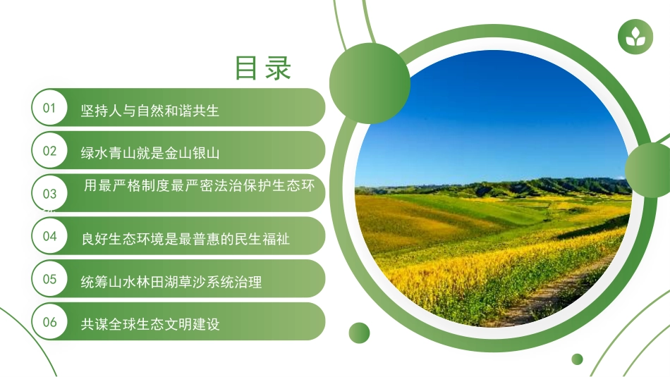 党课讲稿+PPT系列第47期：习近平生态文明思想的丰富内涵及实践路径_第7页