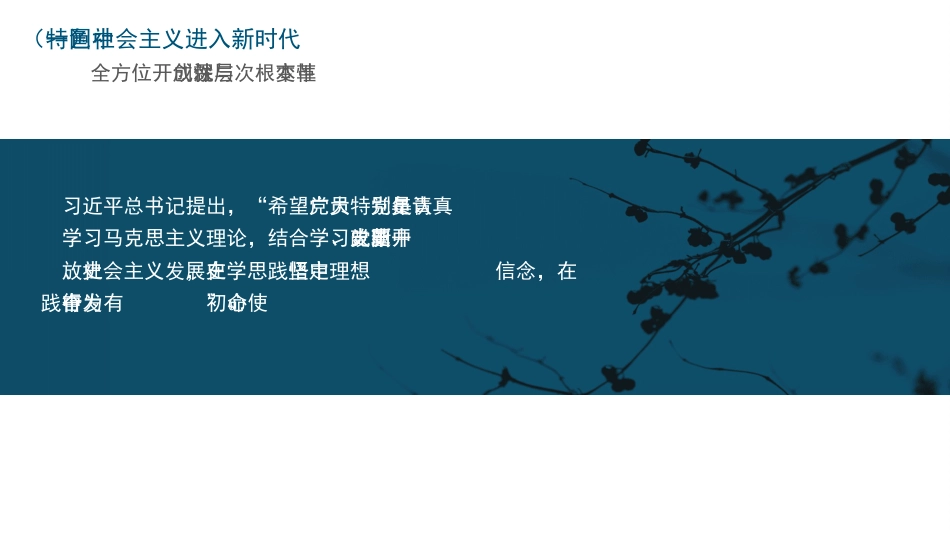 党课讲稿+PPT系列第72期：当代中国的历史性跨越与中国青年的使命担当_第8页
