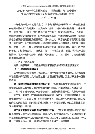 党课讲稿+PPT系列第77期：2022年中央一号文件精神解读：“两条底线”与“三个重点”