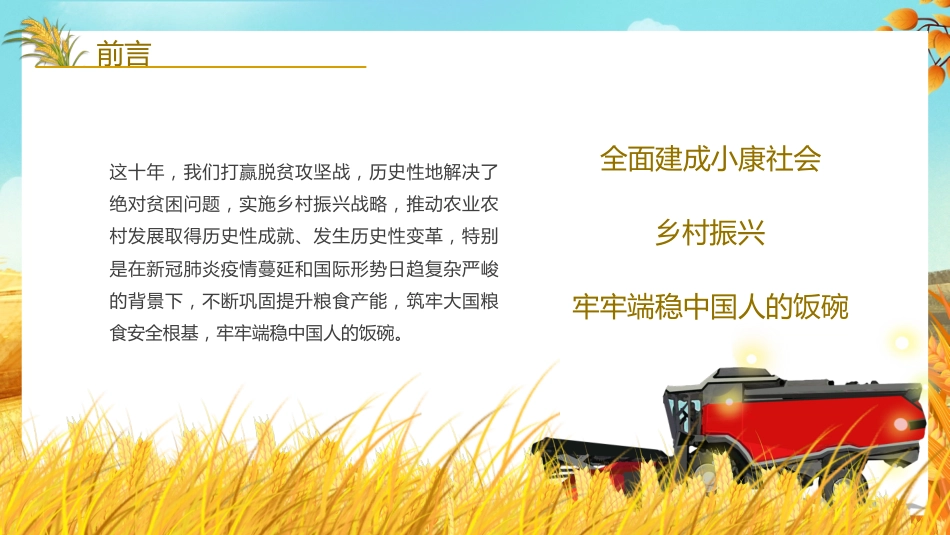 党课讲稿+PPT系列第116期：新时代伟大成就：粮食安全（喜迎二十大）_第3页