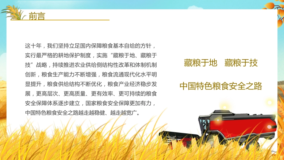 党课讲稿+PPT系列第116期：新时代伟大成就：粮食安全（喜迎二十大）_第4页