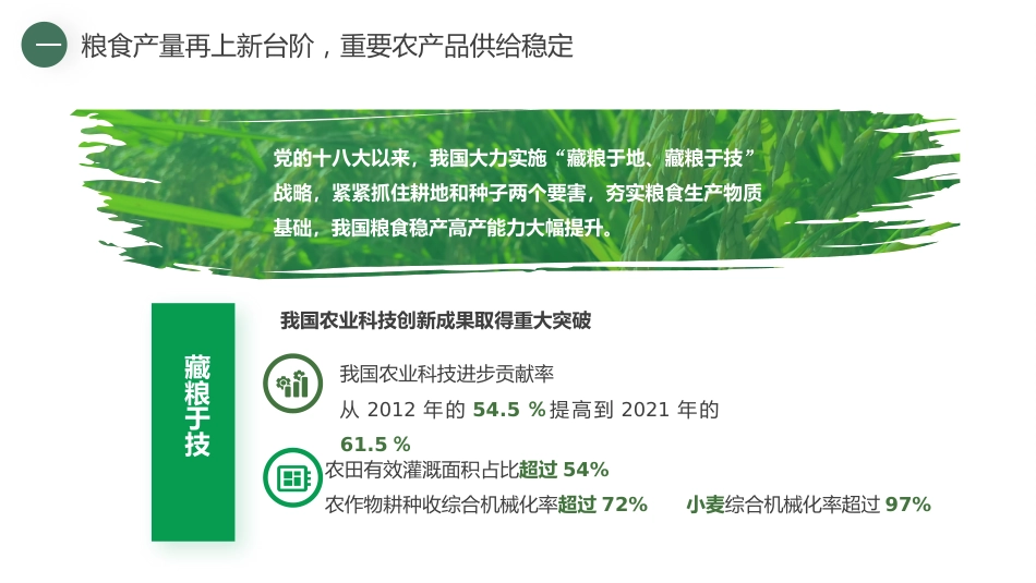 党课讲稿+PPT系列第120期：党的十八大以来我国农业发展的历史性成就（喜迎二十大）_第8页