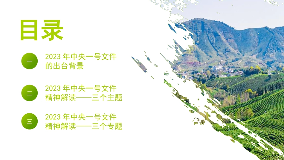 党课讲稿+PPT系列第175期：2023年中央一号文件精神解读 守底线、促振兴、强保障_第2页