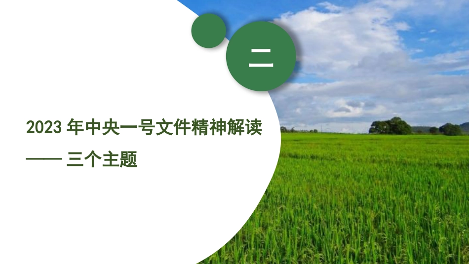 党课讲稿+PPT系列第175期：2023年中央一号文件精神解读 守底线、促振兴、强保障_第8页