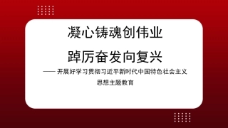 党课讲稿+PPT系列第178期：开展好学习贯彻习近平新时代中国特色社会主义思想主题教育 凝心铸魂创伟业 踔厉奋发向复兴