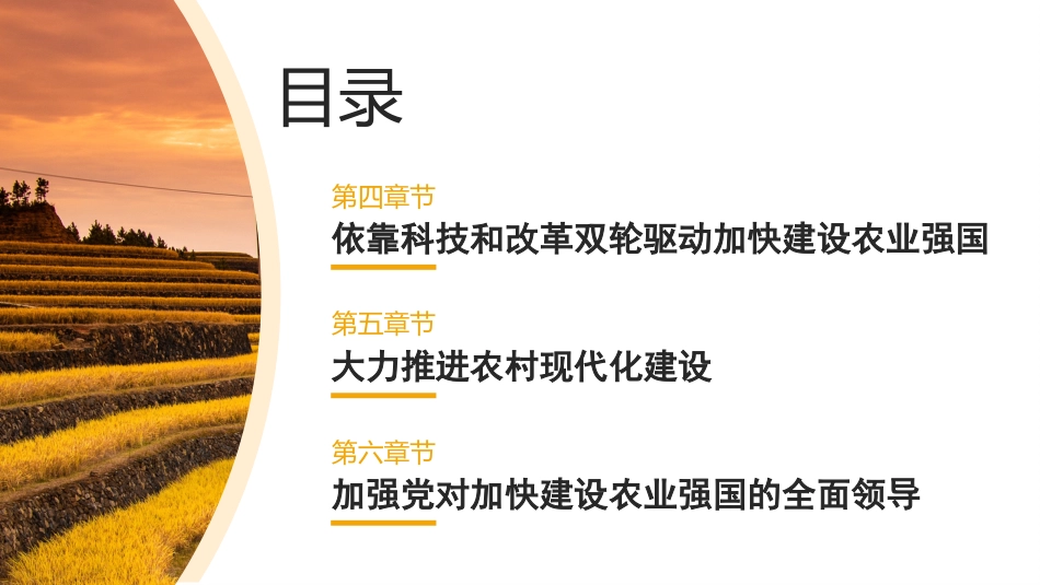 党课讲稿+PPT系列第226期：全面推进乡村振兴 加快建设农业强国（三农）_第5页