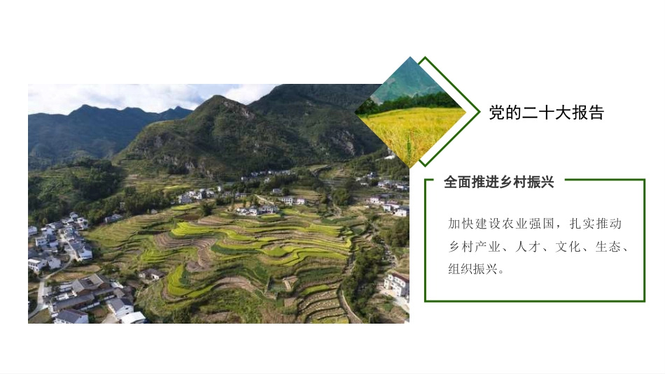 党课讲稿+PPT系列第318期：新时代新征程加快建设农业强国的实现路径_第3页