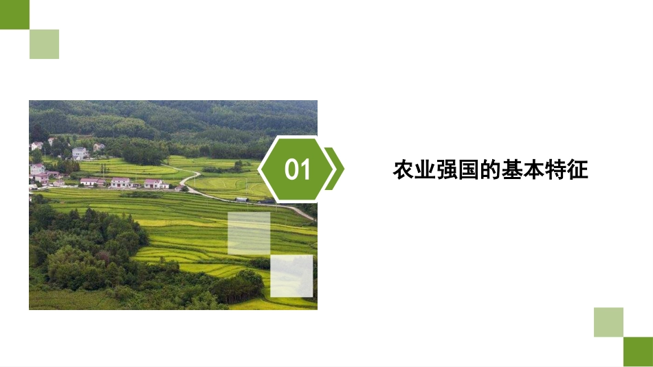 党课讲稿+PPT系列第318期：新时代新征程加快建设农业强国的实现路径_第4页