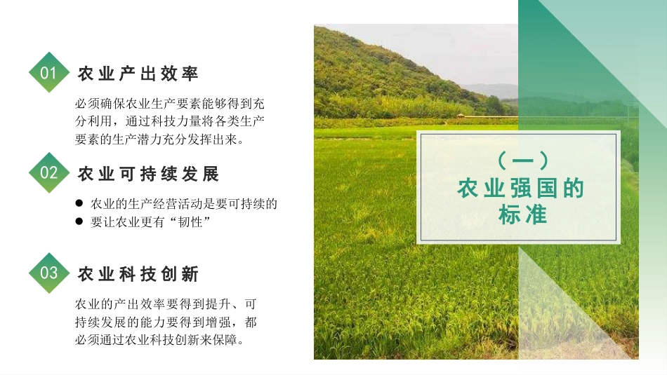 党课讲稿+PPT系列第318期：新时代新征程加快建设农业强国的实现路径_第5页