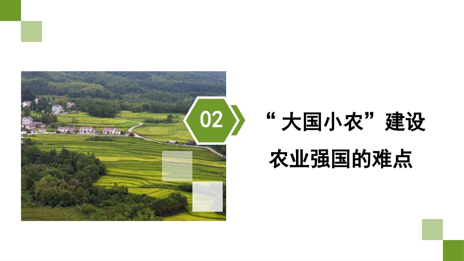 党课讲稿+PPT系列第318期：新时代新征程加快建设农业强国的实现路径_第7页