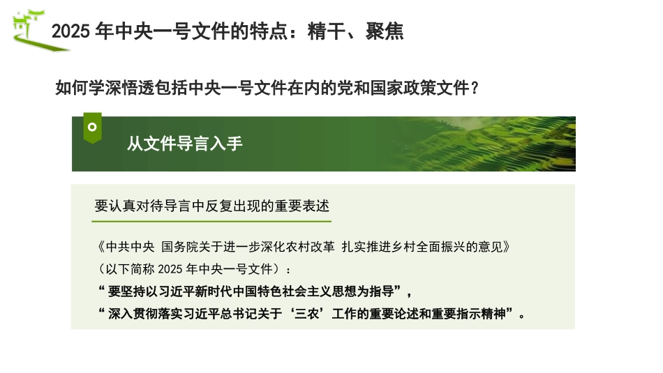 党课讲稿+PPT系列第344期：把握2025年中央一号文件新动向： 以“两个确保”为重点推进乡村全面振兴_第4页