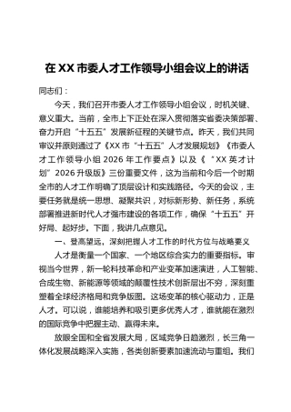 在XX市委人才工作领导小组会议上的讲话（2）