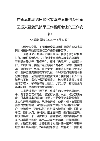 在全县巩固拓展脱贫攻坚成果推进乡村全面振兴暨防汛抗旱工作视频会上的工作安排