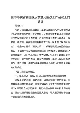 在市落实省委巡视反馈意见整改工作会议上的讲话