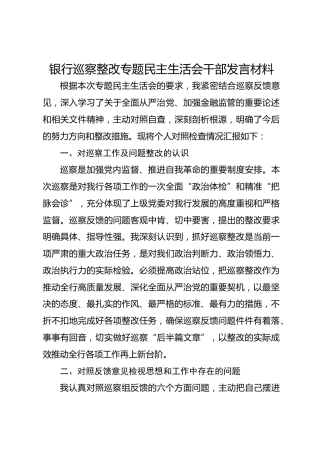 银行巡察整改专题民主生活会干部发言材料