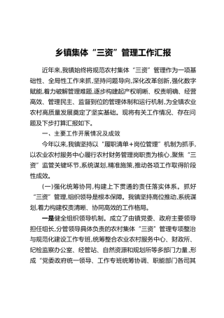 乡镇集体“三资”管理工作汇报